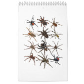 Calendrier Cool Spider Pour Hommes Femmes Arachnid Éffrayant  (Protection)