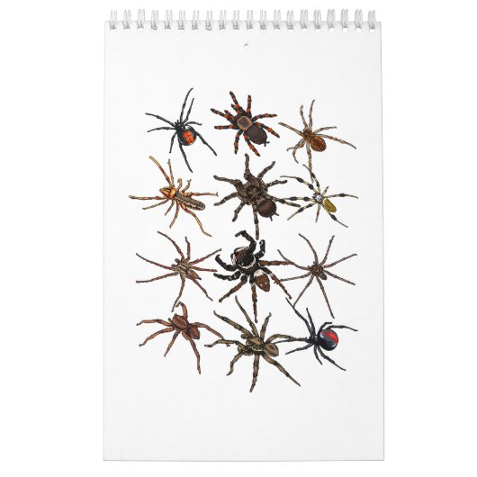 Calendrier Cool Spider Pour Hommes Femmes Arachnid Éffrayant  (Protection)