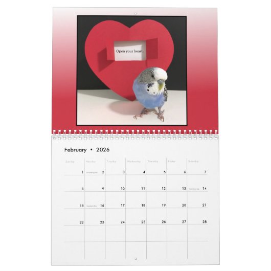 Calendrier Cooper's Corner Calendar 2026 (Feb 2026)