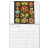 Calendrier Copies d'Ernst Haeckel (Feb 2026)