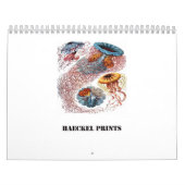 Calendrier Copies d'Ernst Haeckel (Protection)