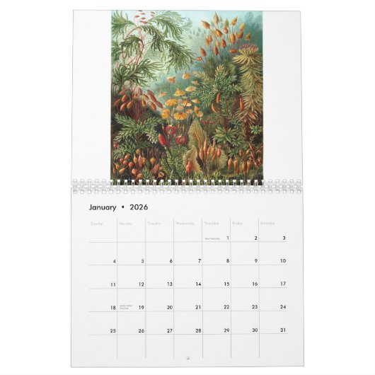 Calendrier Copies d'Ernst Haeckel (Jan 2026)