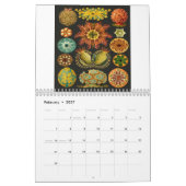 Calendrier Copies d'Ernst Haeckel (Feb 2027)