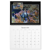 Calendrier Coral Reef (Jan 2026)