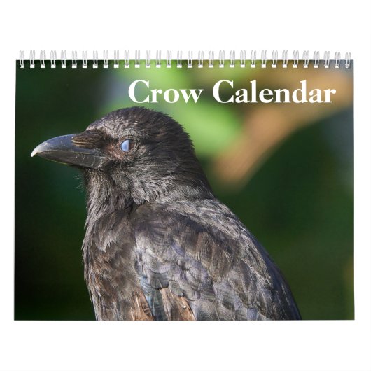 Calendrier Corbeau 2025 (Protection)