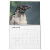 Calendrier Corbeau 2025 (Jan 2026)