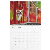 Calendrier Corgi Fun (Feb 2027)