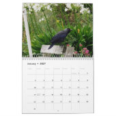 Calendrier Cornish Adventures de belles parties de Cornwall (Jan 2027)