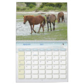Calendrier Corolle 2009-7-23 de Wright 00118 (Feb 2027)