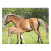 Calendrier Corolle 2009-7-23 de Wright 00118 (Protection)