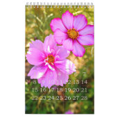 Calendrier Cosmos カ レ ン ダ (Feb 2026)