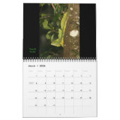 Calendrier Costa Rica 2011 (Mar 2026)