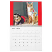 Calendrier costumé des chats 2019 (Mar 2027)