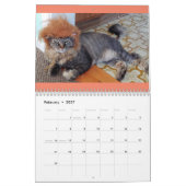 Calendrier costumé des chats 2019 (Feb 2027)