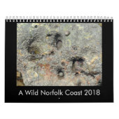 Calendrier côtier 2018 de faune de la Norfolk (Protection)