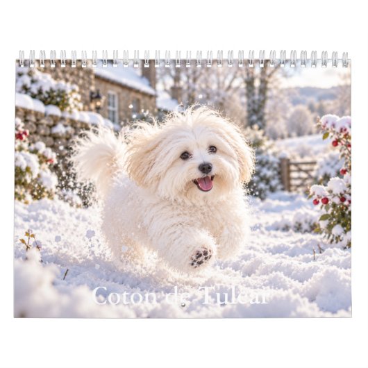 Calendrier Coton de Tulear (Protection)