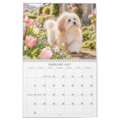 Calendrier Coton de Tulear (Feb 2027)
