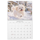 Calendrier Coton de Tulear (Jan 2027)
