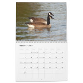 Calendrier Couleur d'en de gansos de fotos de patos y (Feb 2027)