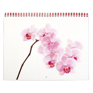 Calendrier Couleur vivante