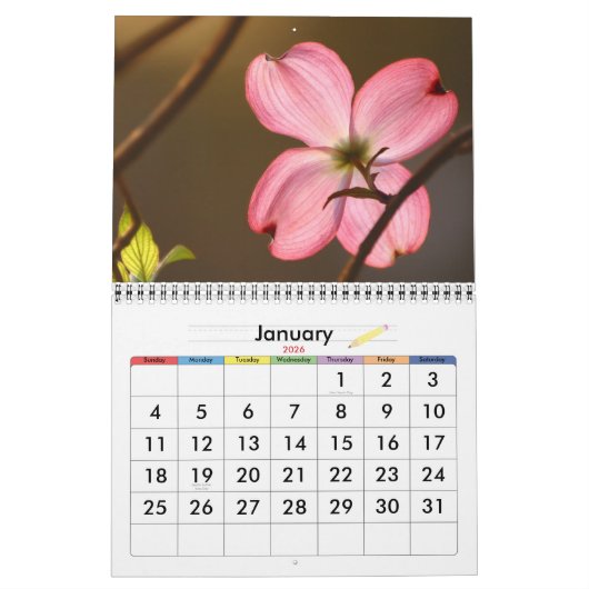 Calendrier Couleur vivante (Jan 2026)