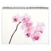 Calendrier Couleur vivante (Protection)