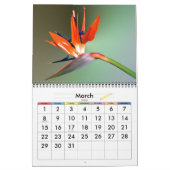 Calendrier Couleur vivante (Mar 2026)