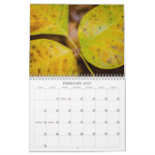 Calendrier Couleurs d'automne (Feb 2027)