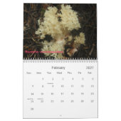 Calendrier Couverture, champignons du nord-ouest (Feb 2027)