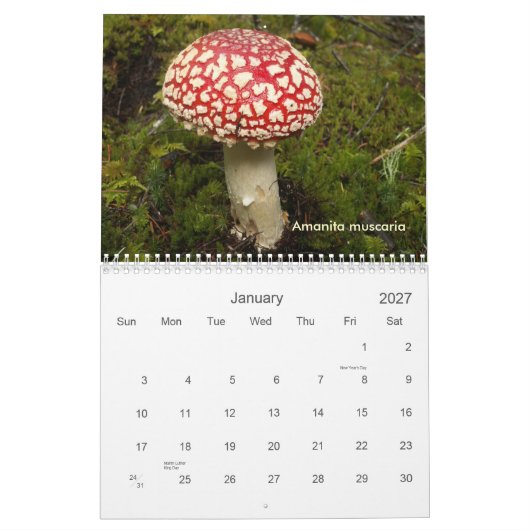 Calendrier Couverture, champignons du nord-ouest (Jan 2027)