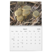 Calendrier Couverture, champignons du nord-ouest (Mar 2026)