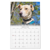 Calendrier Couverture complète de 14 photos moderne personnal (Mar 2026)