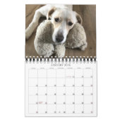 Calendrier Couverture complète de 14 photos moderne personnal (Jan 2026)