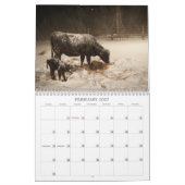 Calendrier Cowtown vivant 2013 (Feb 2027)