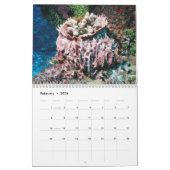 Calendrier Cozumel 2011 sous-marin (Feb 2026)