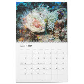 Calendrier Cozumel 2011 sous-marin (Mar 2027)