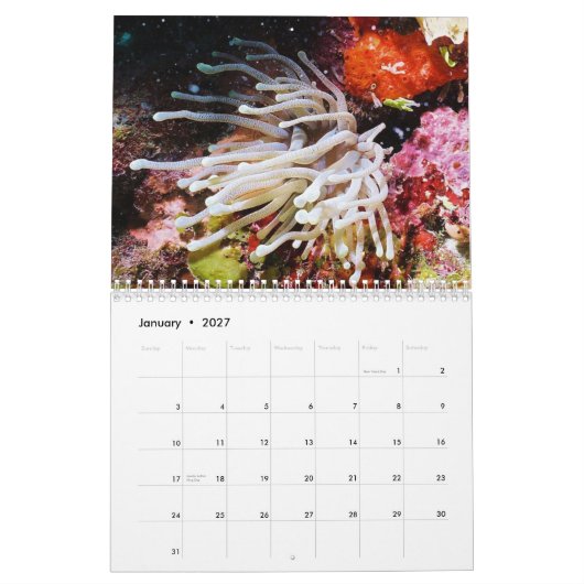 Calendrier Cozumel 2011 sous-marin (Jan 2027)