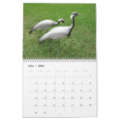 Calendrier Craniche (Mar 2026)