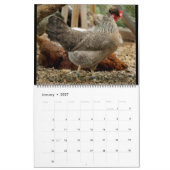 Calendrier Cream Legbar 2023 (Jan 2027)