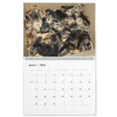 Calendrier Cream Legbar 2023 (Mar 2026)