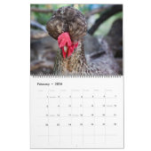 Calendrier Cream Legbar 2023 (Feb 2026)