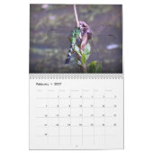 Calendrier Créatures (Feb 2027)