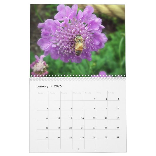 Calendrier Créatures (Jan 2026)