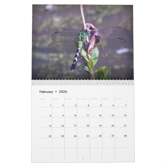 Calendrier Créatures (Feb 2026)