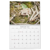 Calendrier Créatures de la forêt Nature  (Feb 2027)