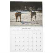 Calendrier Créatures de la forêt Nature  (Jan 2027)