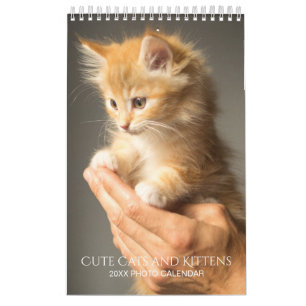 Calendrier Créez votre propre animal de compagnie Photos de c