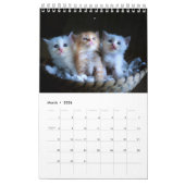 Calendrier Créez votre propre animal de compagnie Photos de c (Mar 2026)