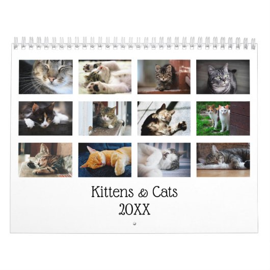 Calendrier Créez votre propre chats mignons chatons chatons p (Protection)