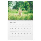 Calendrier Créez votre propre mignonne amusant chat animal de (Mar 2026)
